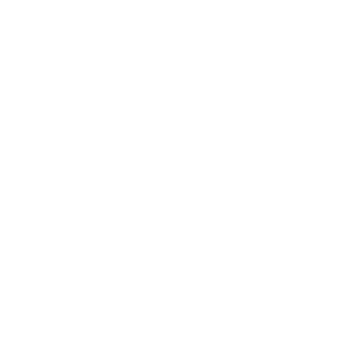 VK Fest
